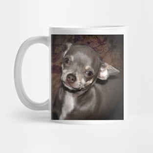 Loveable Cheeky Cute Chihuahua Face art Mug